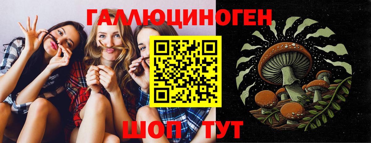 Черняховск  Галлюциногенные грибы прущие грибы  Псилоцибиновые грибы Psilocybine cubensis  Вход с VPN 